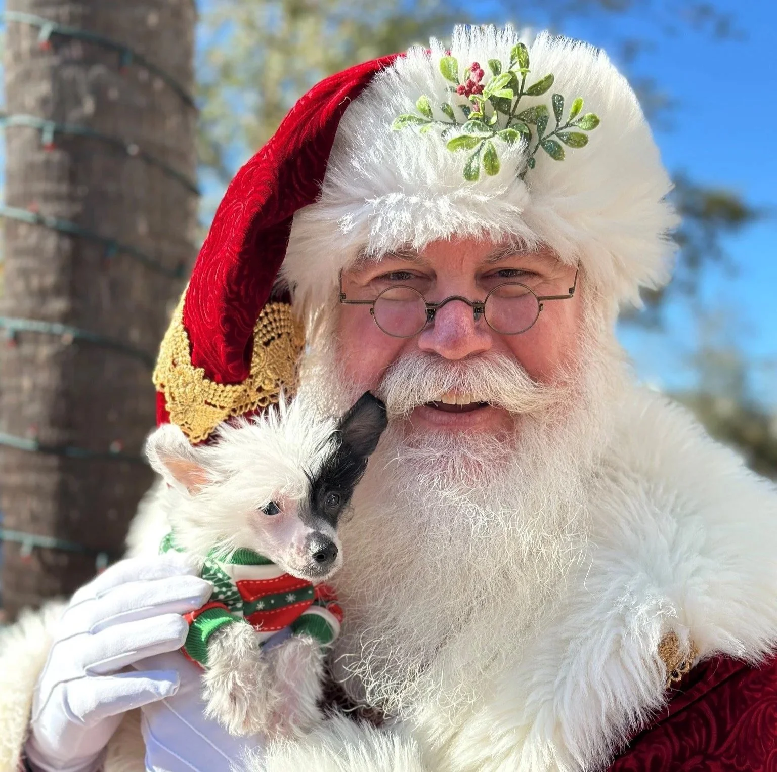 Pet Visits with Santa at Shelter Cove Towne Centre