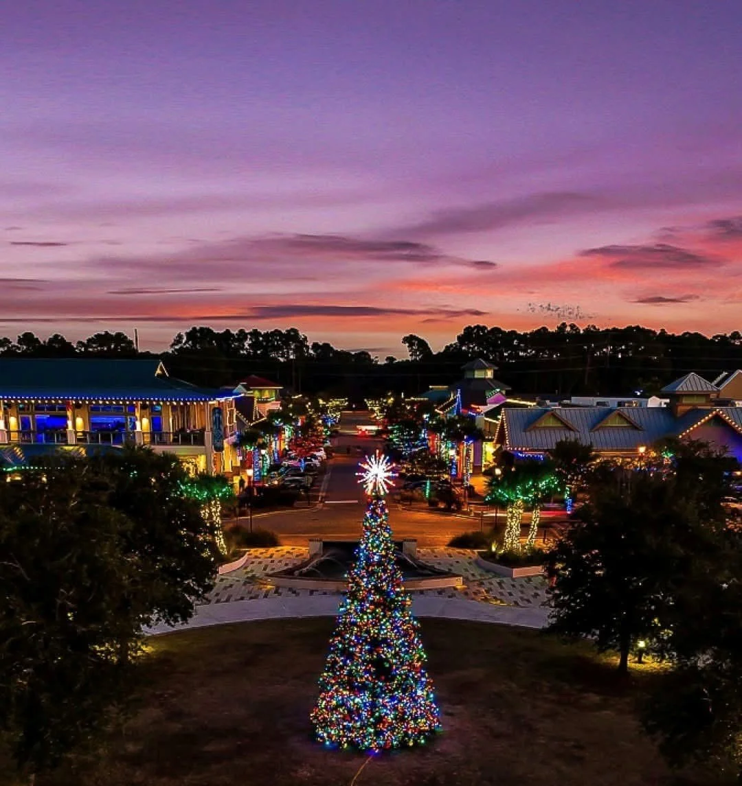 Holiday Lights &amp; Tree at Shelter Cove Towne Centre