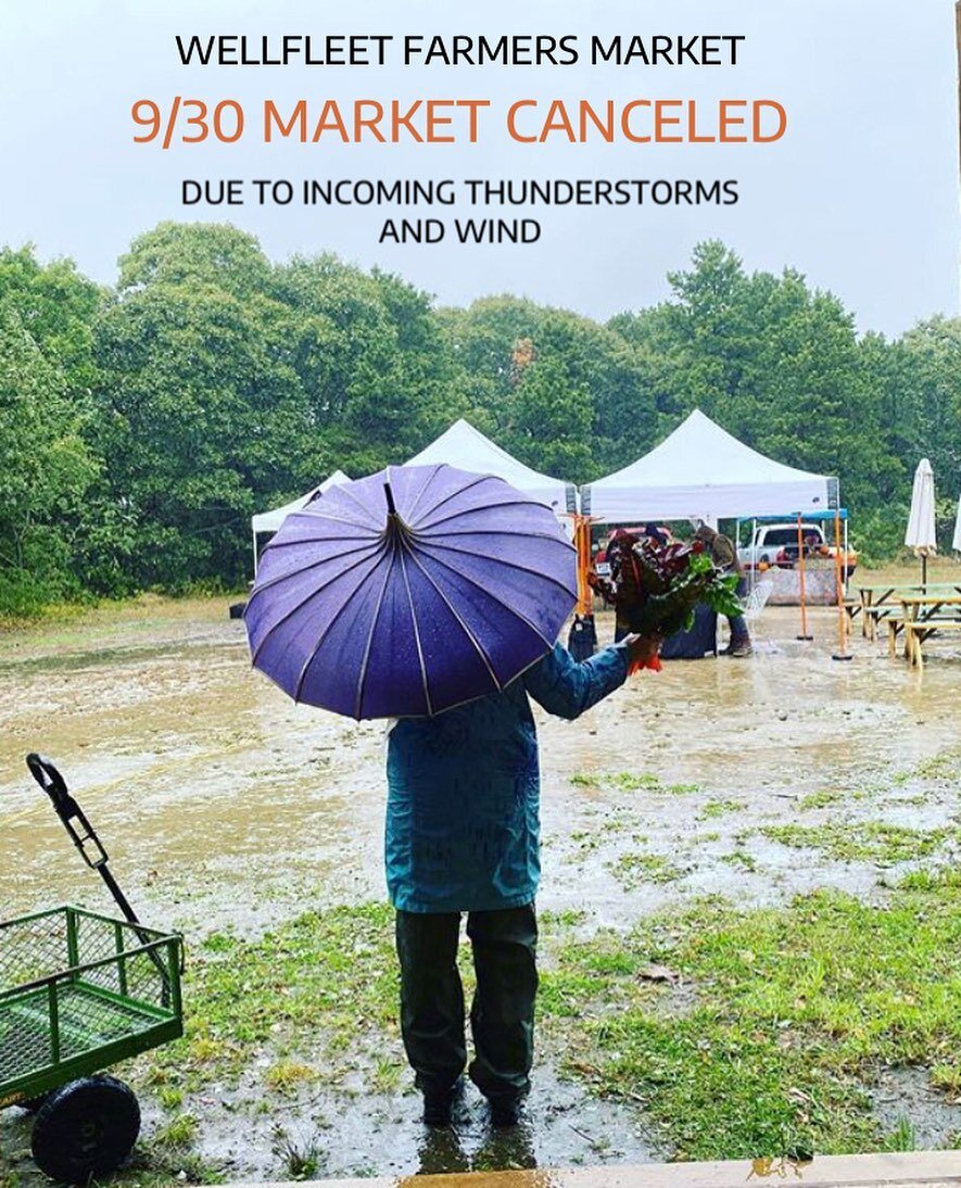 Hi folks! Tomorrow&rsquo;s market (9/30) is canceled due to incoming thunderstorms and high winds. Please check back with us next week for our final market of the season! 

And, if you&rsquo;re missing your weekly supply of mushrooms from Uli @ulismu