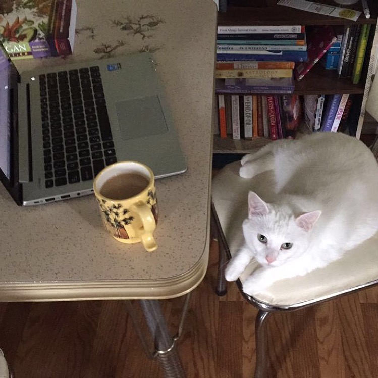 Betty, sipping some coffee and getting her research on. 