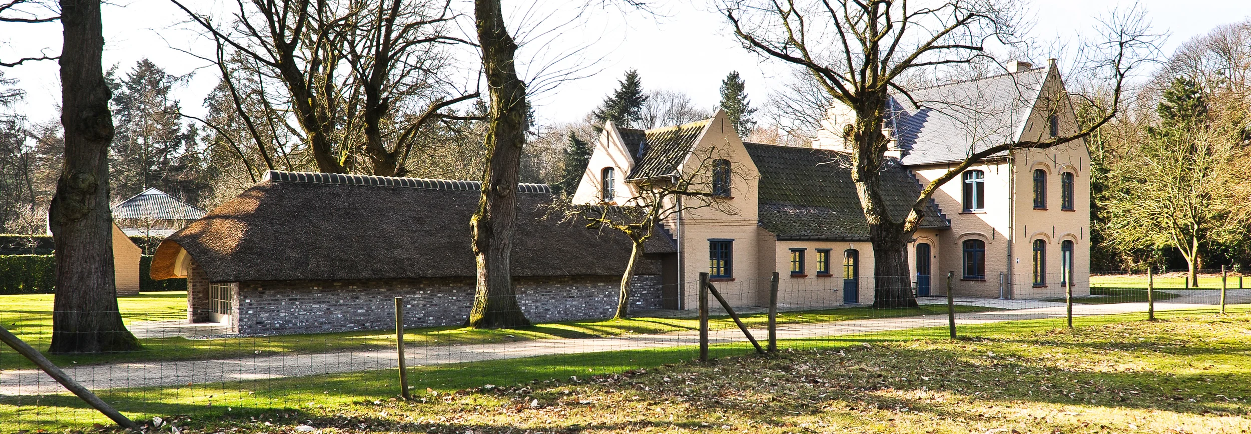 gevaert3-9501.jpg