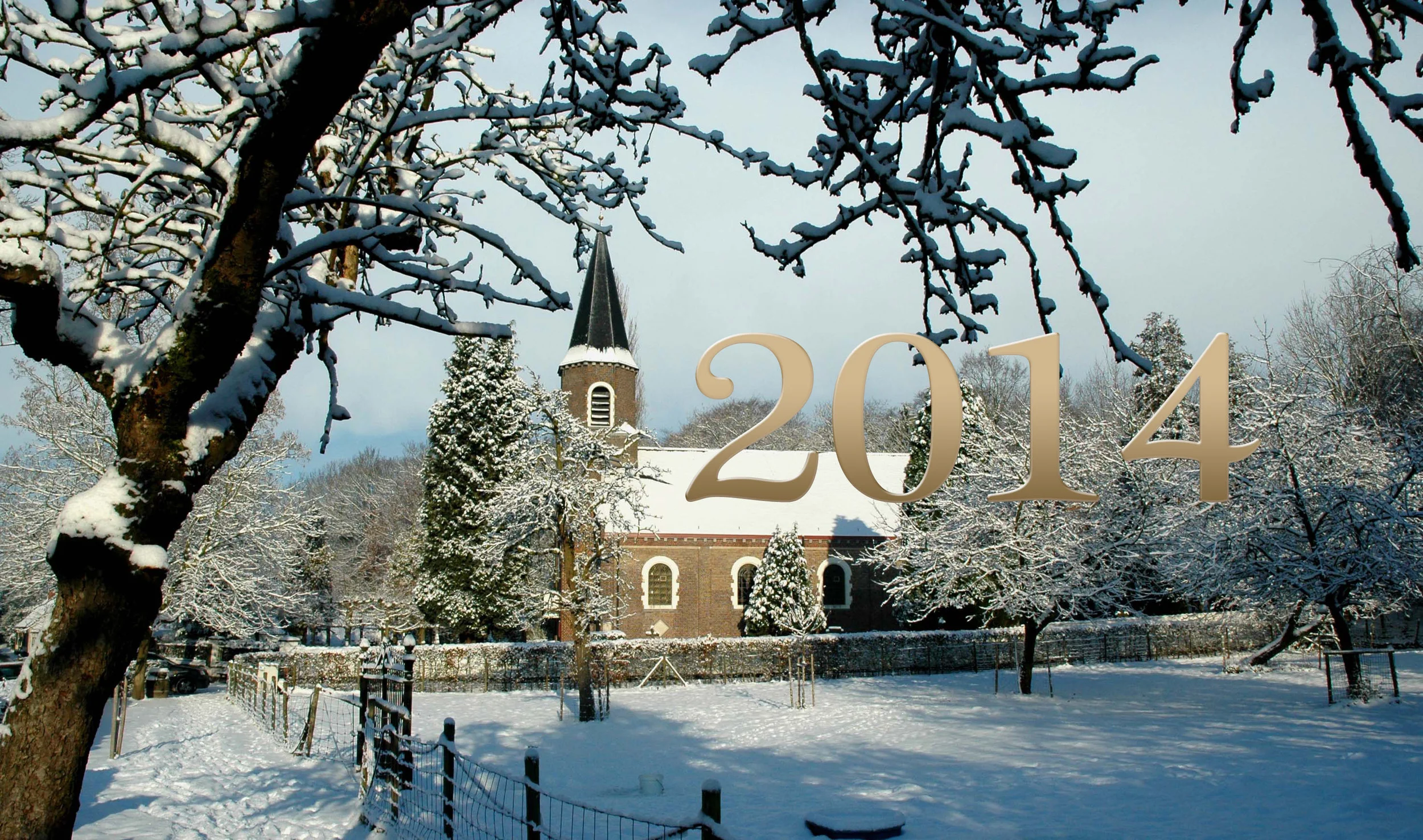 banner 2014.jpg