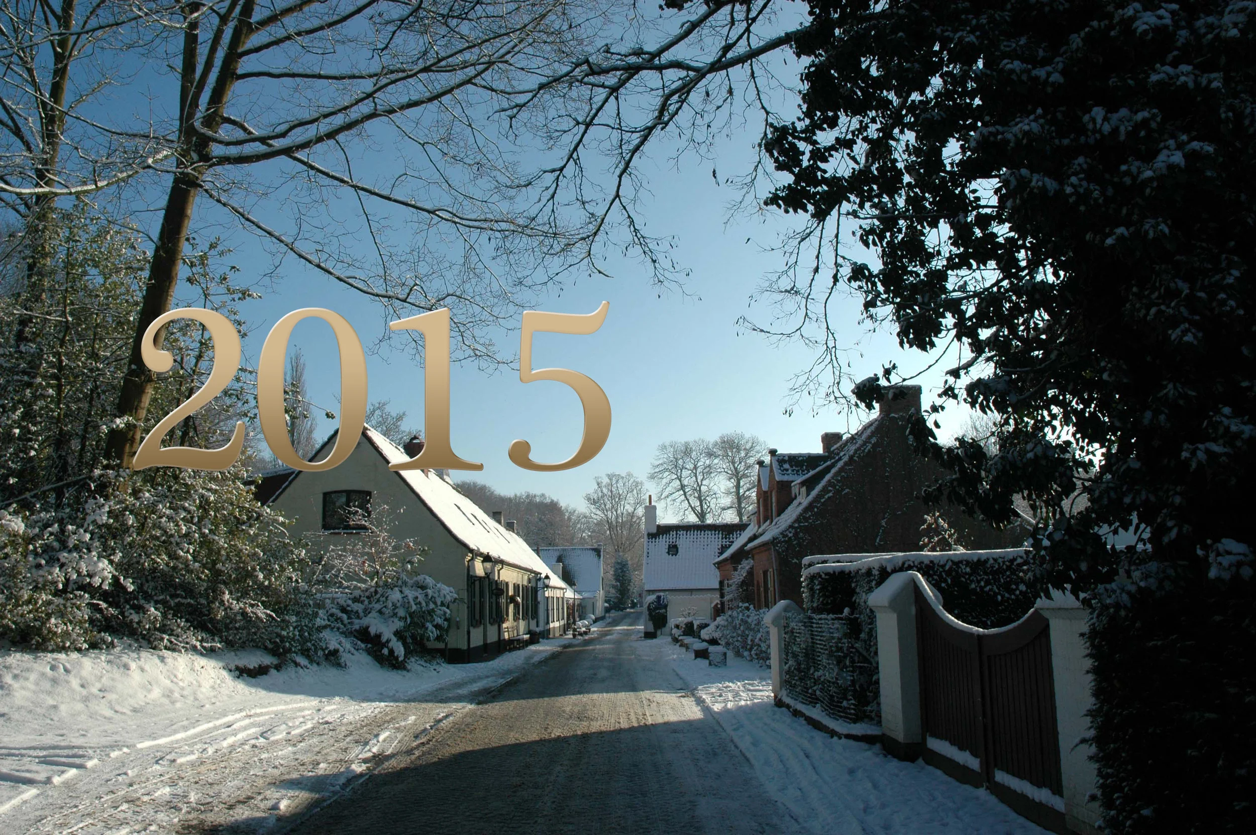 banner2015.jpg