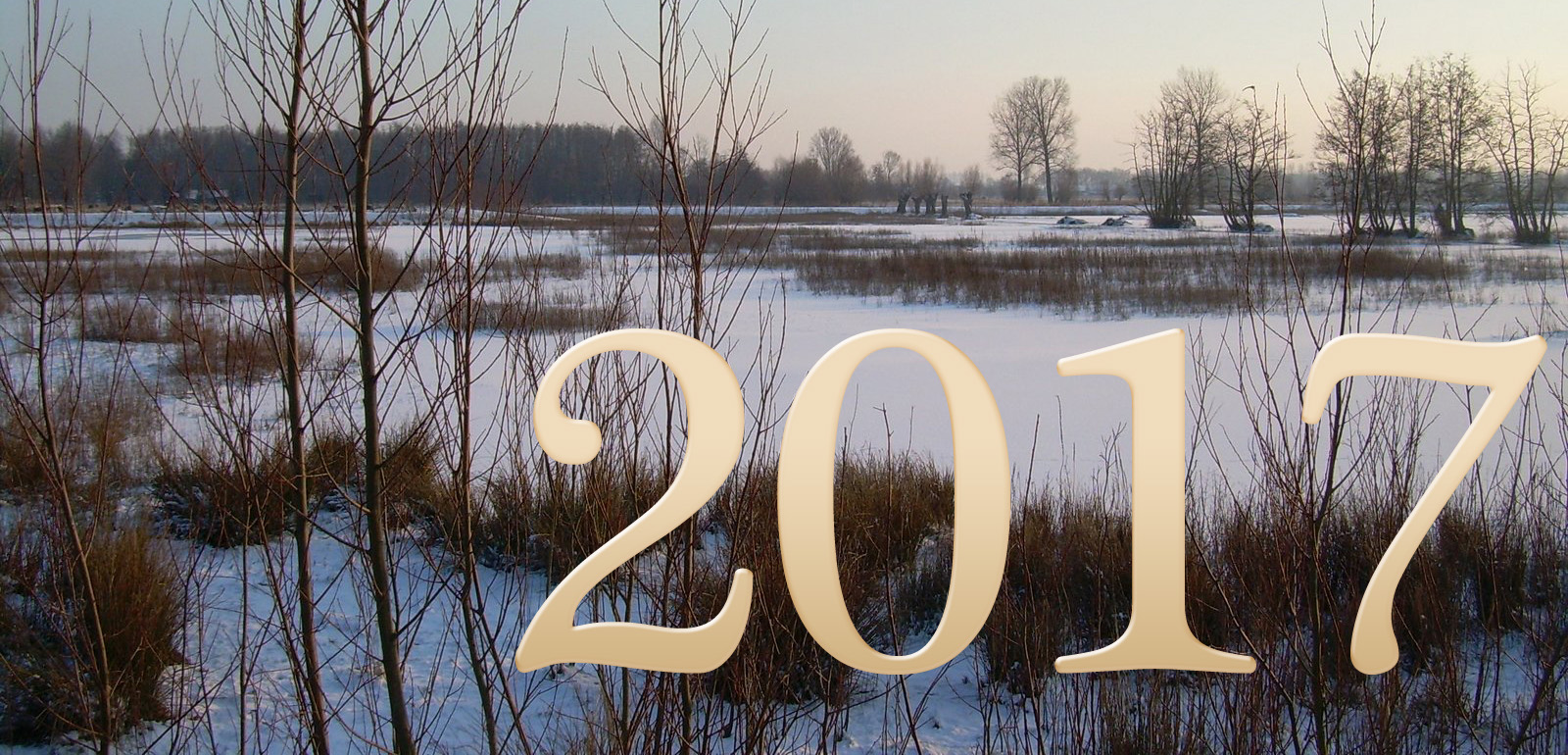 banner  2017kopie.jpg