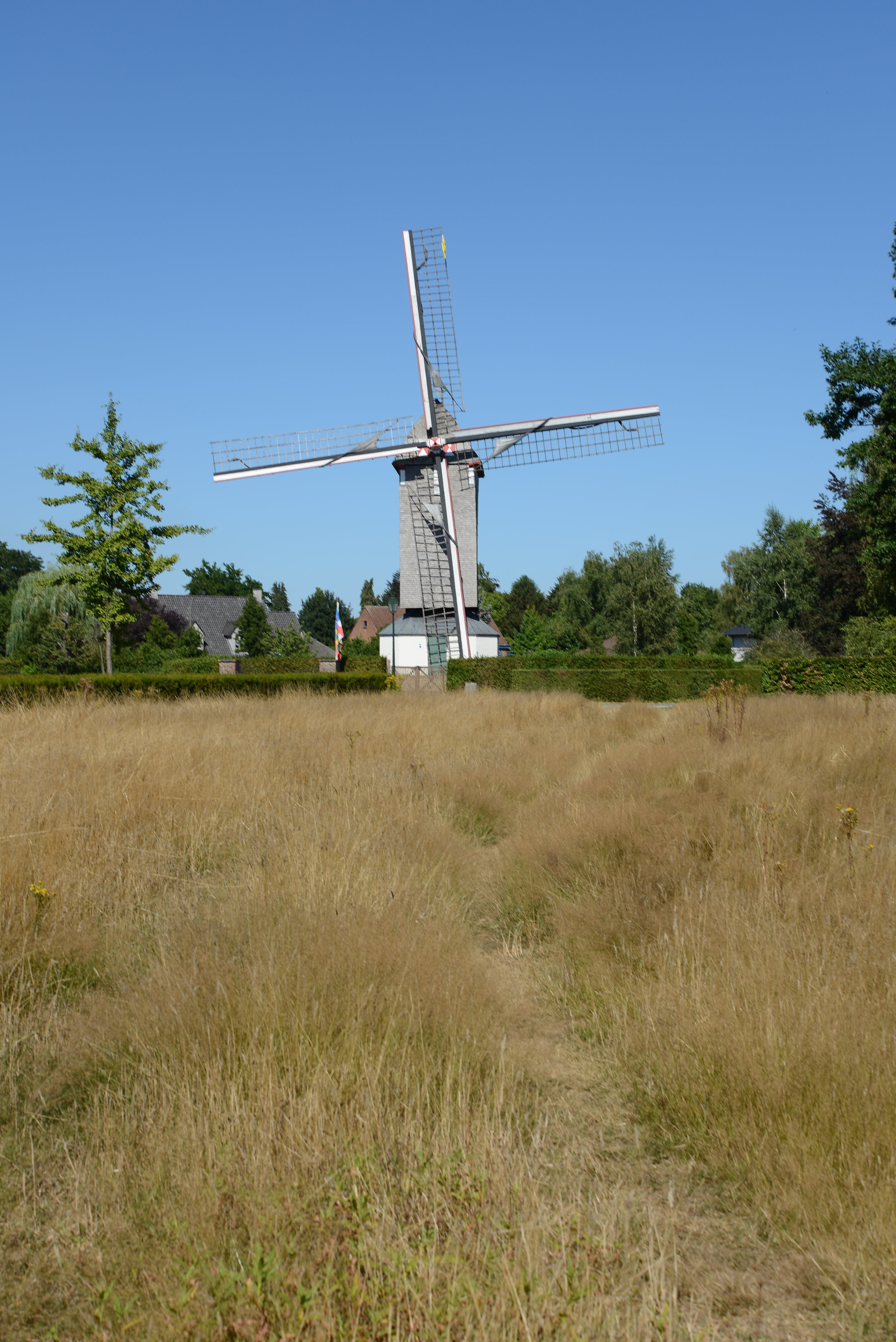 zomerwandeling 2018_0323.JPG