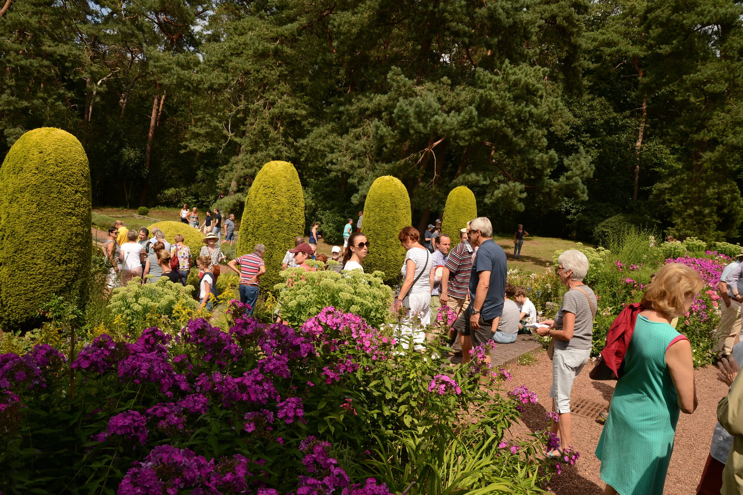 wandeling 2019 048.JPG