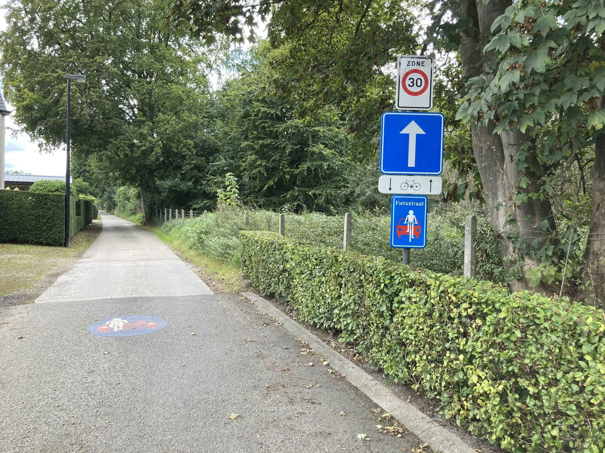 Fietsstraat (2).JPEG