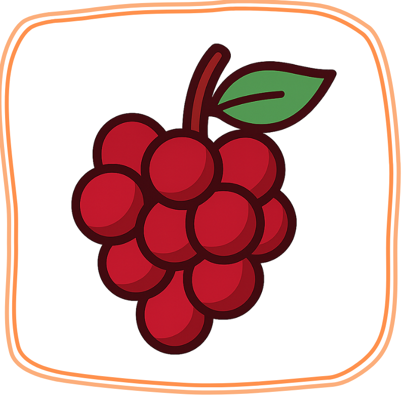 PTBlanco WEBSHOP (88).png