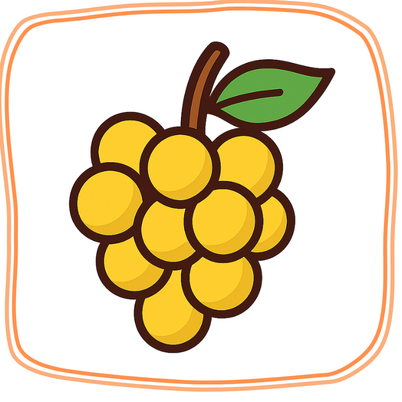 PTBlanco WEBSHOP (89).png