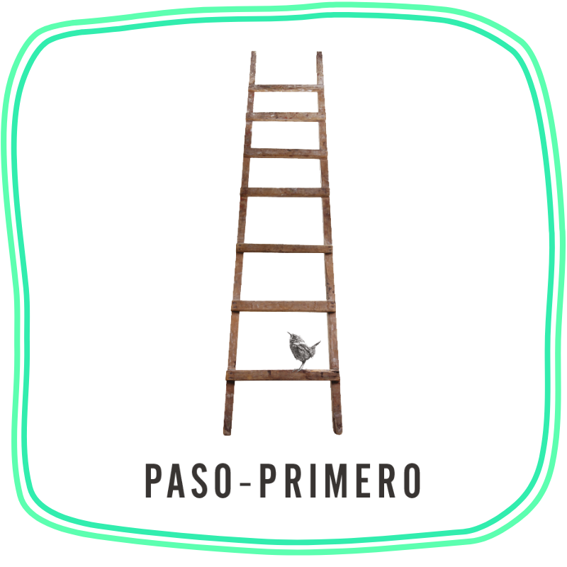 Paso-Primero - Gift Card