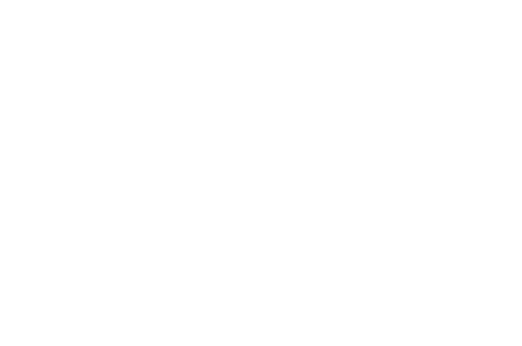 OFFICIAL SELECTION - Chelsea Fashion  Film Festival - 2017 (1).png