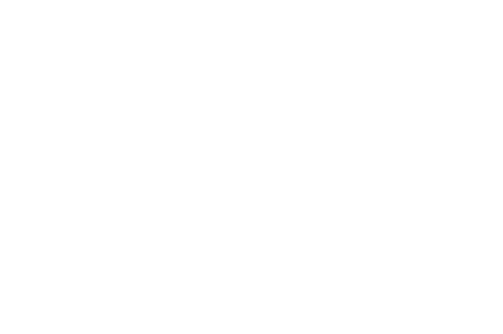 OFFICIAL SELECTION - Miami Fashion Film Festival - 2017.png
