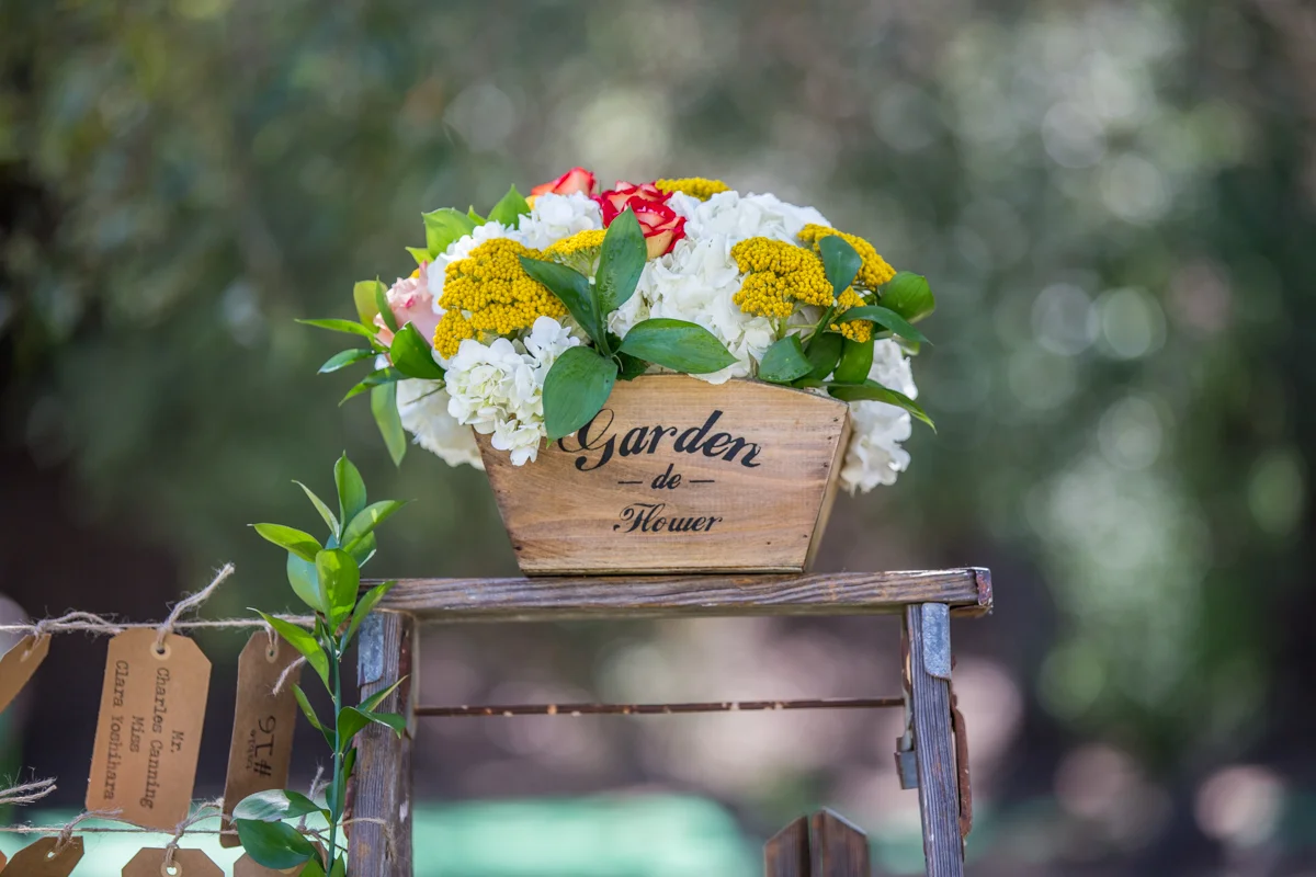 Raquel and Ben - Reception-31.JPG