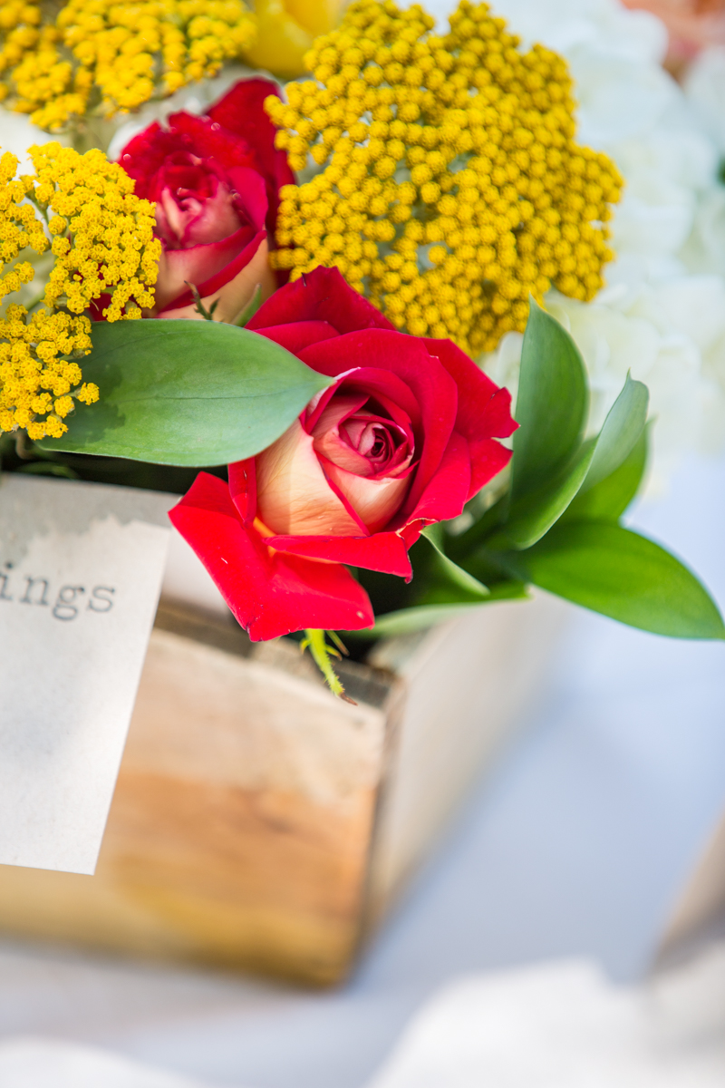 Raquel and Ben - Reception-44.JPG