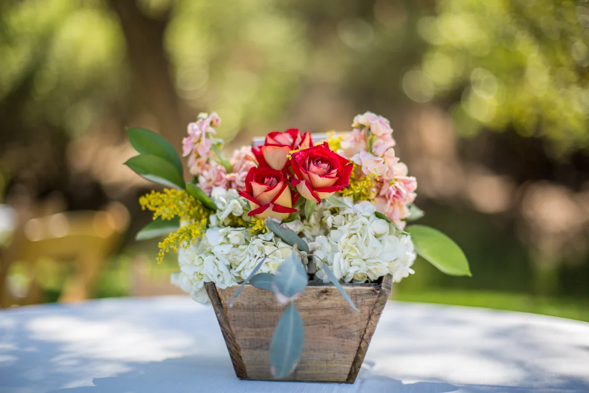 Raquel and Ben - Reception-66.JPG