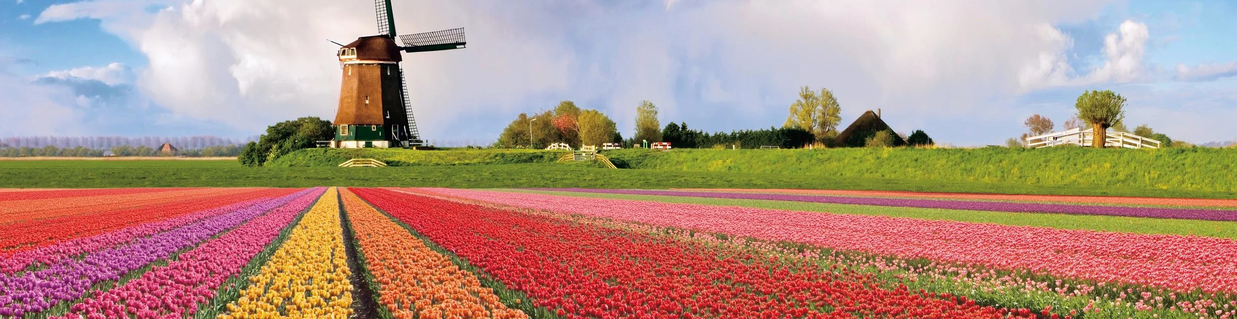Uniworld's Tulips & Windmills: 10 DAYS FROM AMSTERDAM TO ANTWERP