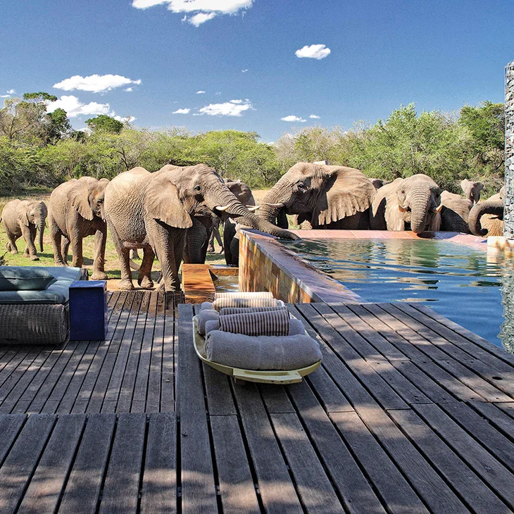 Virtuoso's Best Of The Best: 2016 Hotel Winners