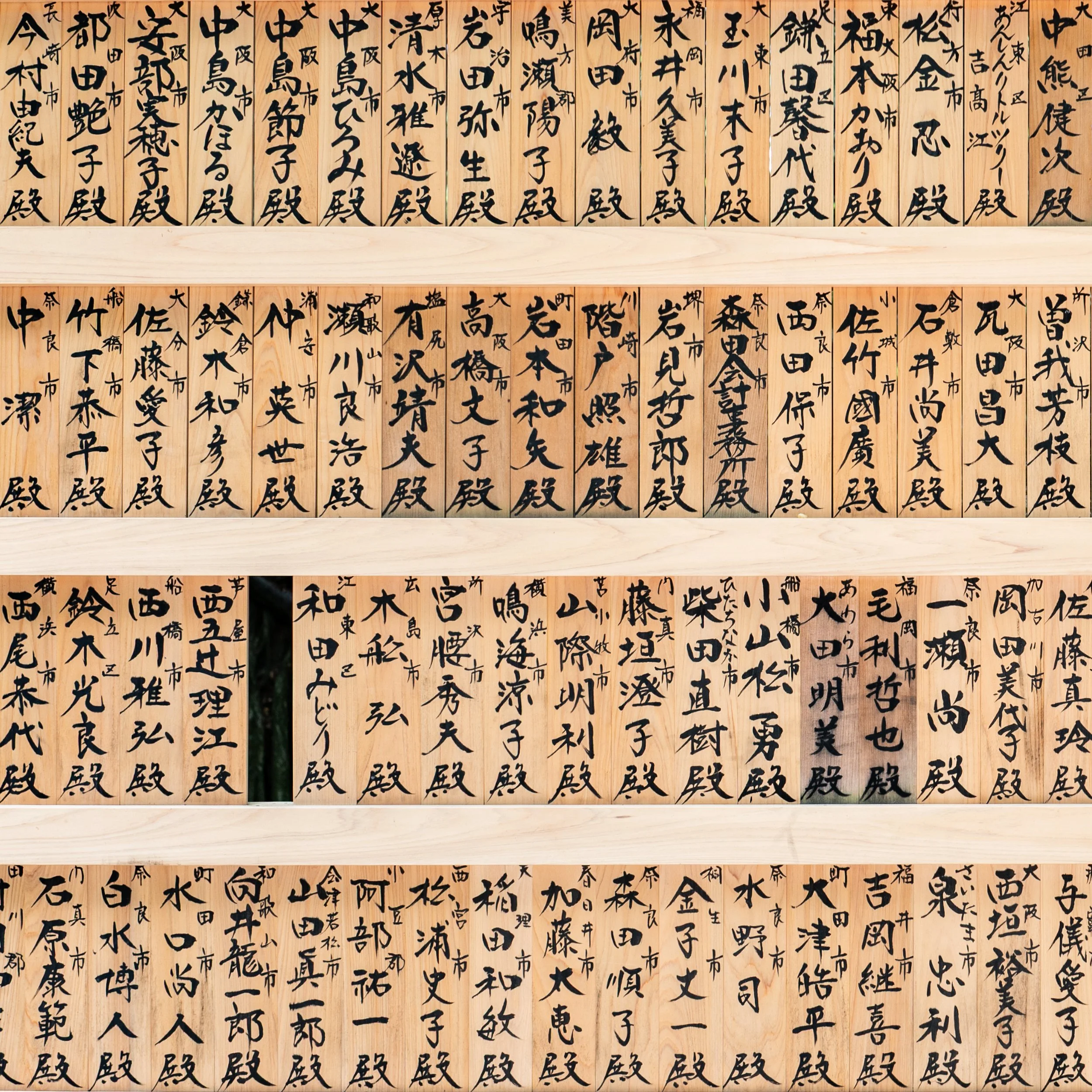 Japan 6