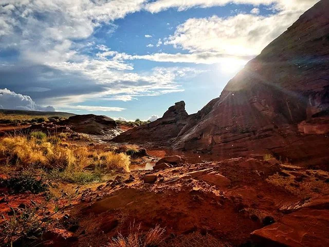 Red rock after the rain
&bull;
&bull;
&bull;
#redrockcountry #sunafterrain #stormyclouds #raininthedesert #utahoutdoors #utahtravel #travelutah #naturelandscapes #lensflares #thisisutah #utahisawesome #sandhollow #sandhollowresort #hurricaneutah #ken