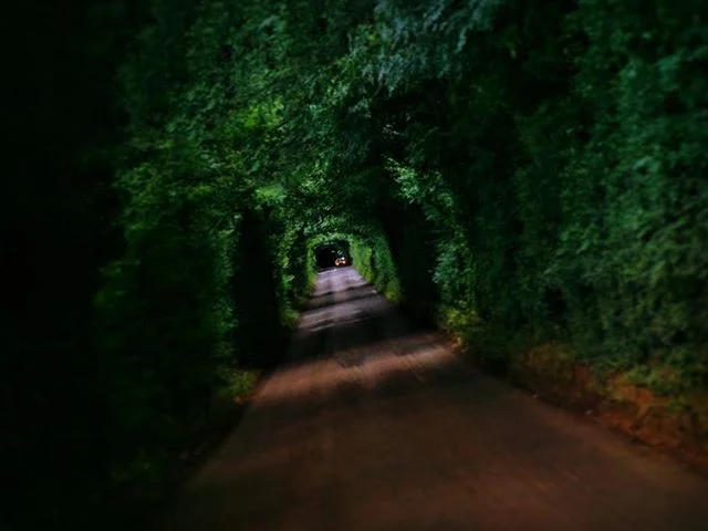 // Tunnel vision //
&bull;
&bull;
&bull;
#tunnelvision #greenroad #forcedperspective #carlights #treestuff #irelandphotography #greenleaves #roadway #iphone6plus #shotoniphone #momentlens #travelireland #greenleaf #coolsummernights #lightthroughthetr