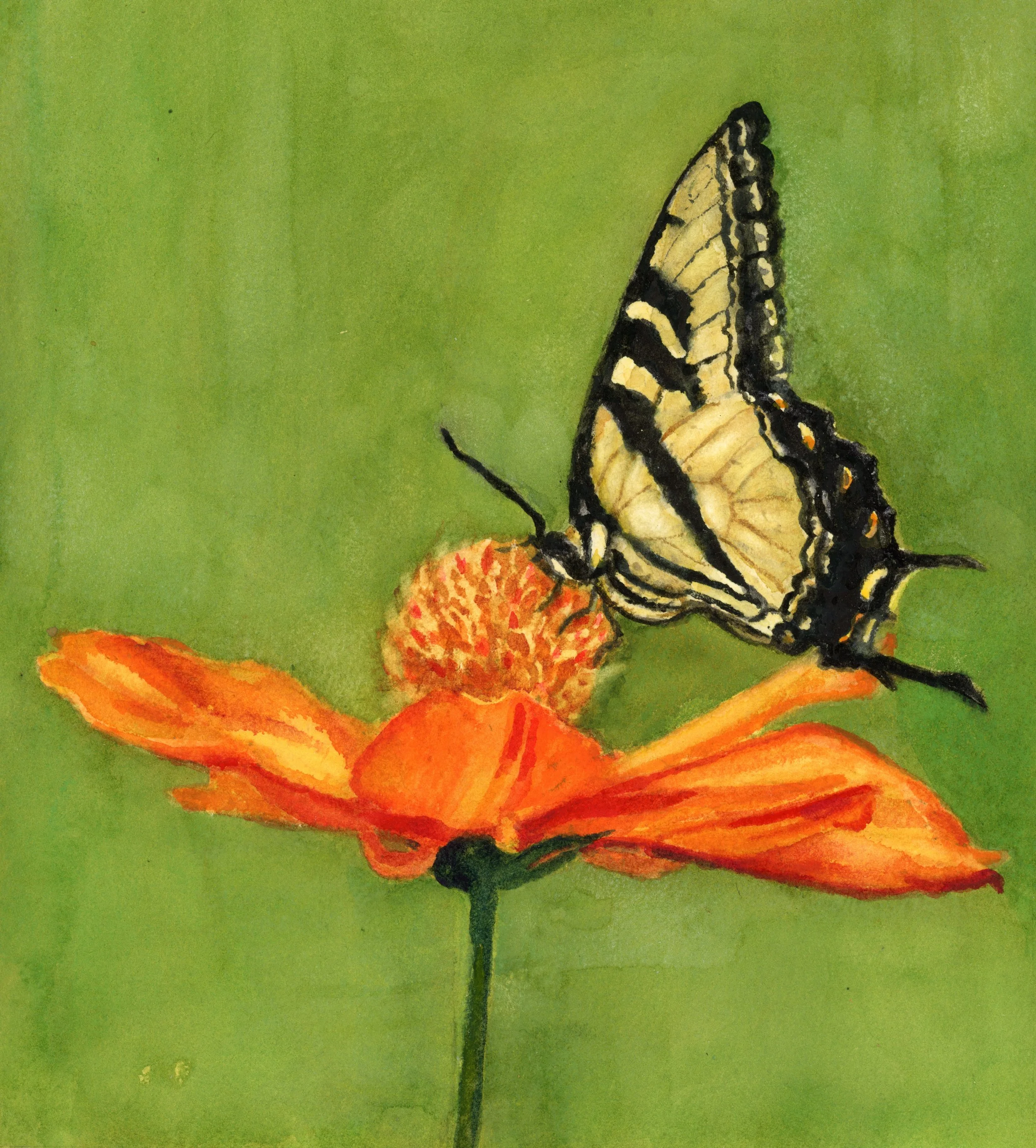 Floral Landing 8 x 9 Scan.jpeg