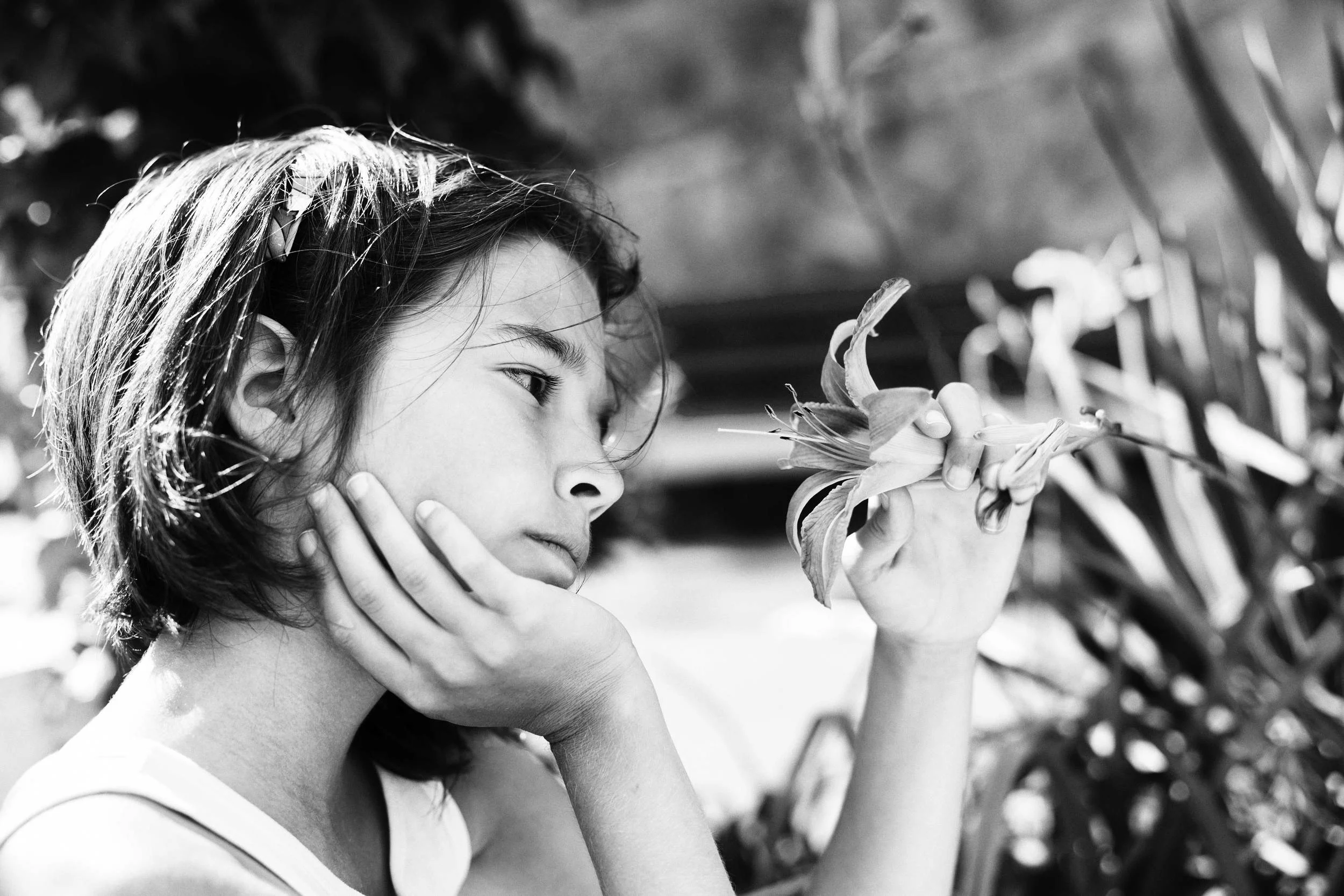 iStock_000034802516_XXXLarge.jpg