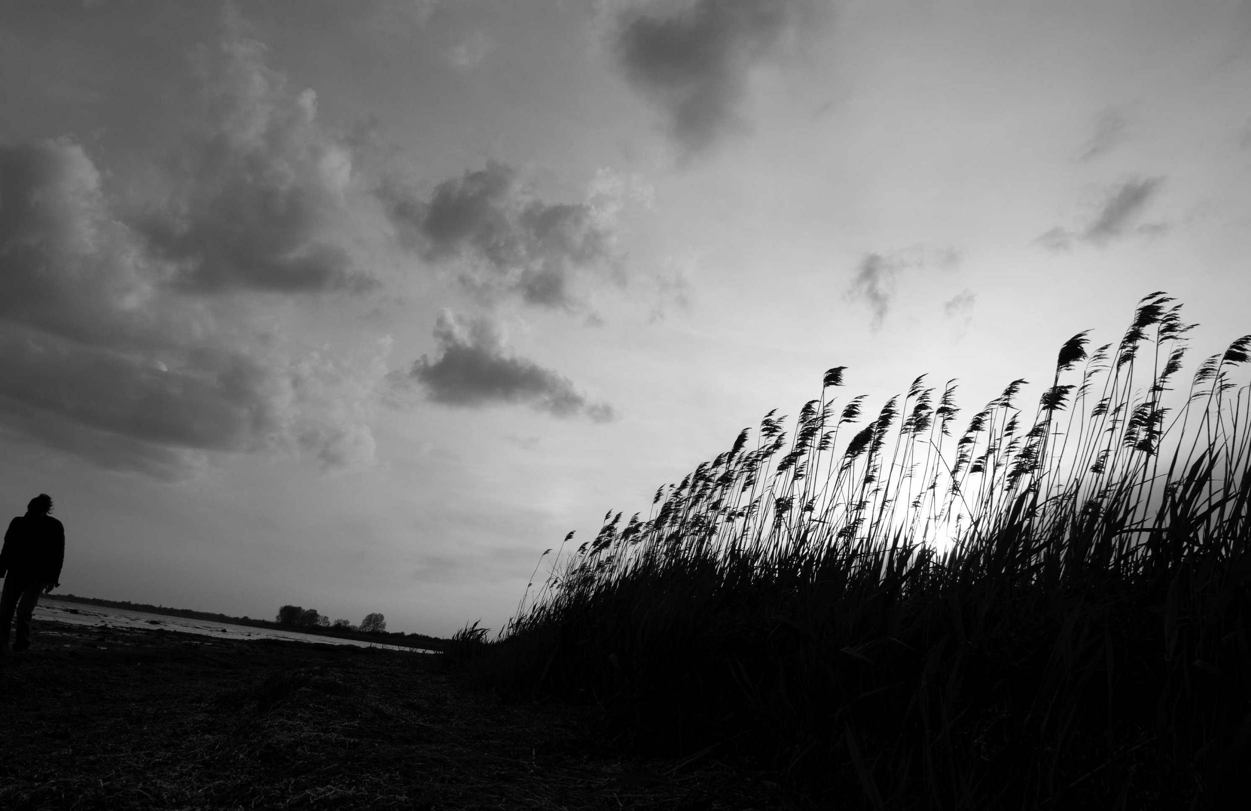 iStock_000009938008_Large.jpg
