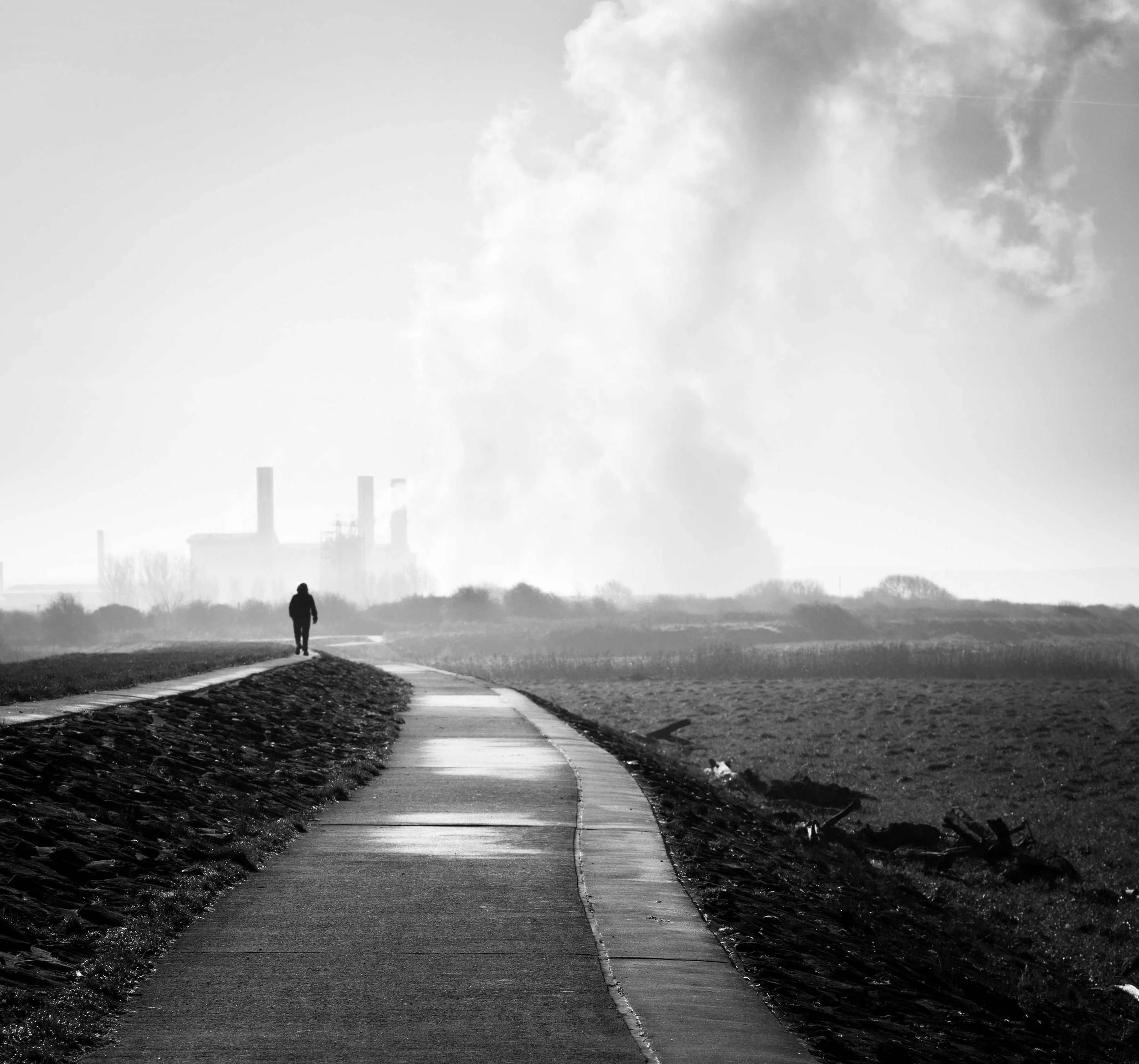 iStock_000015724862_Large.jpg
