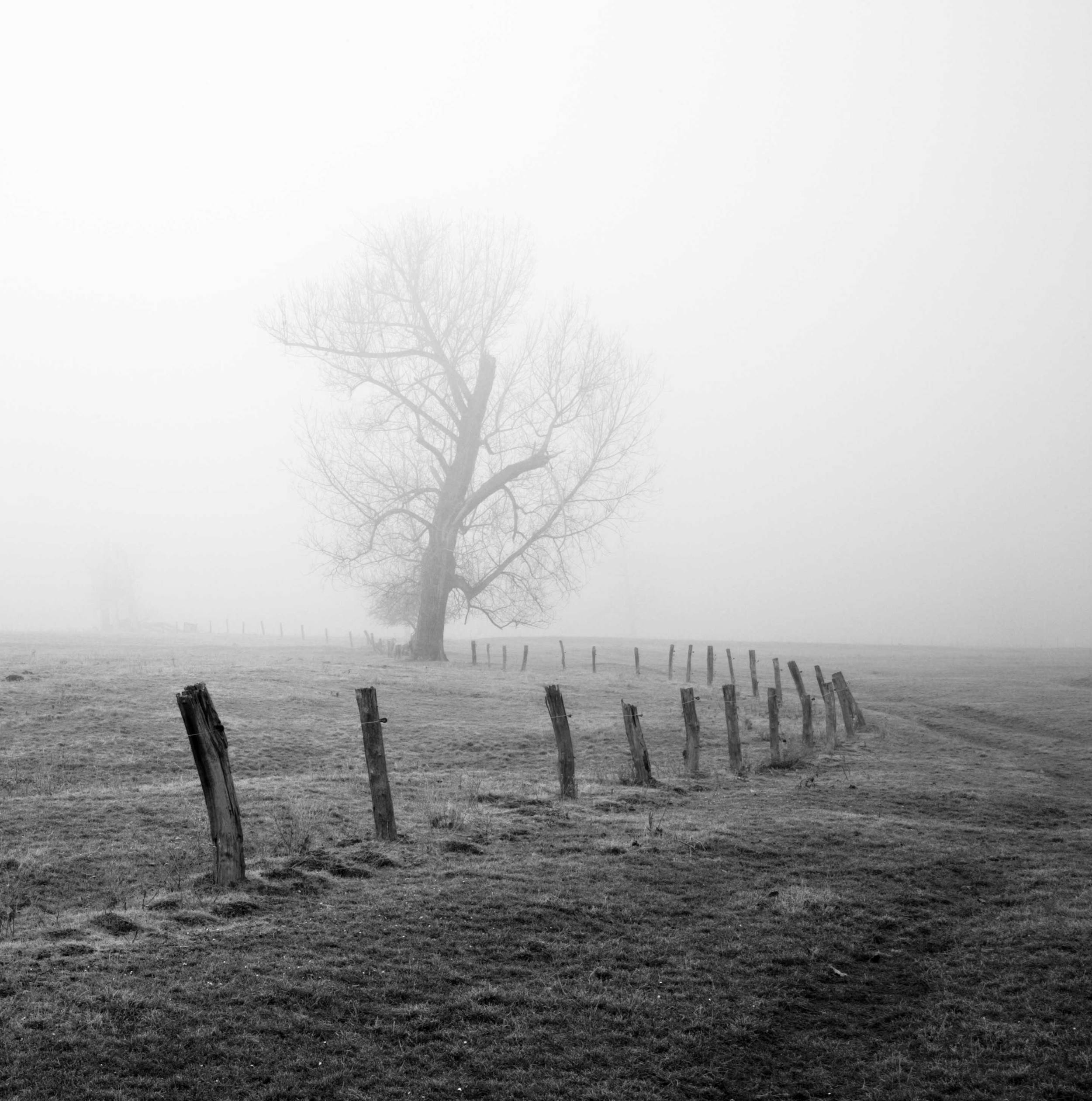 iStock_000003328660_Large.jpg