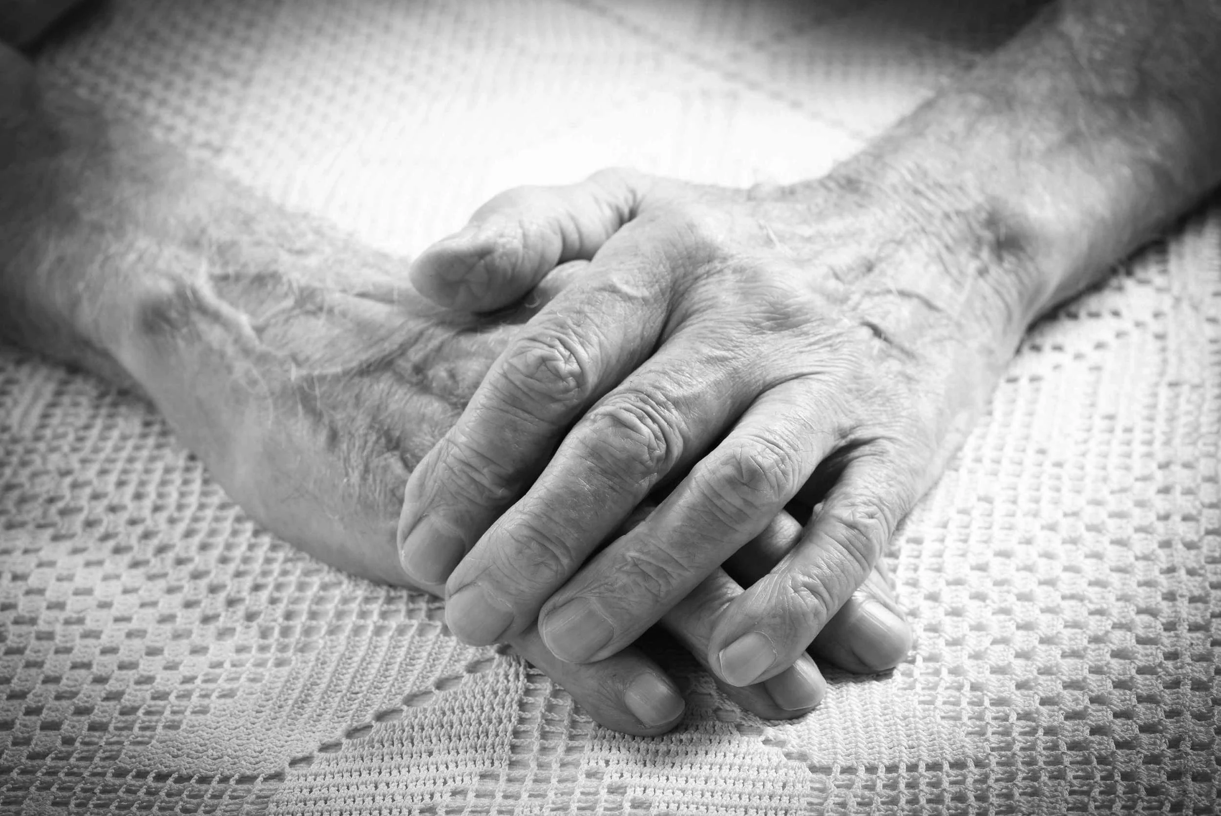 iStock_000042202964_Large.jpg