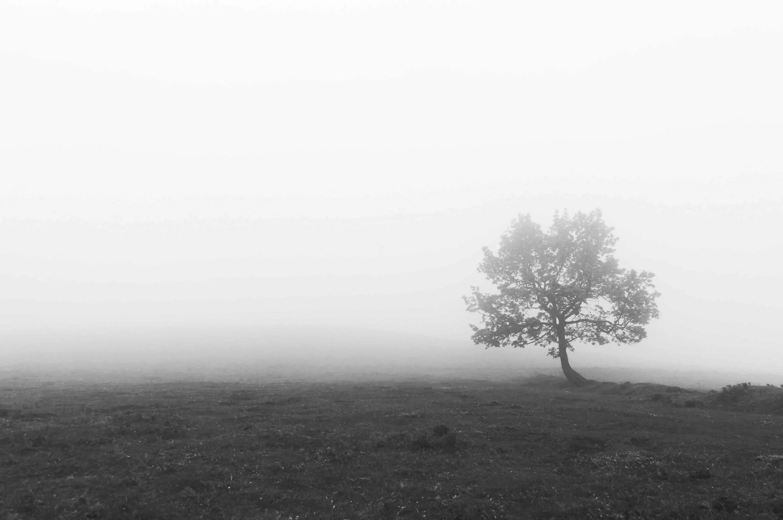 iStock_000042411840_Full.jpg