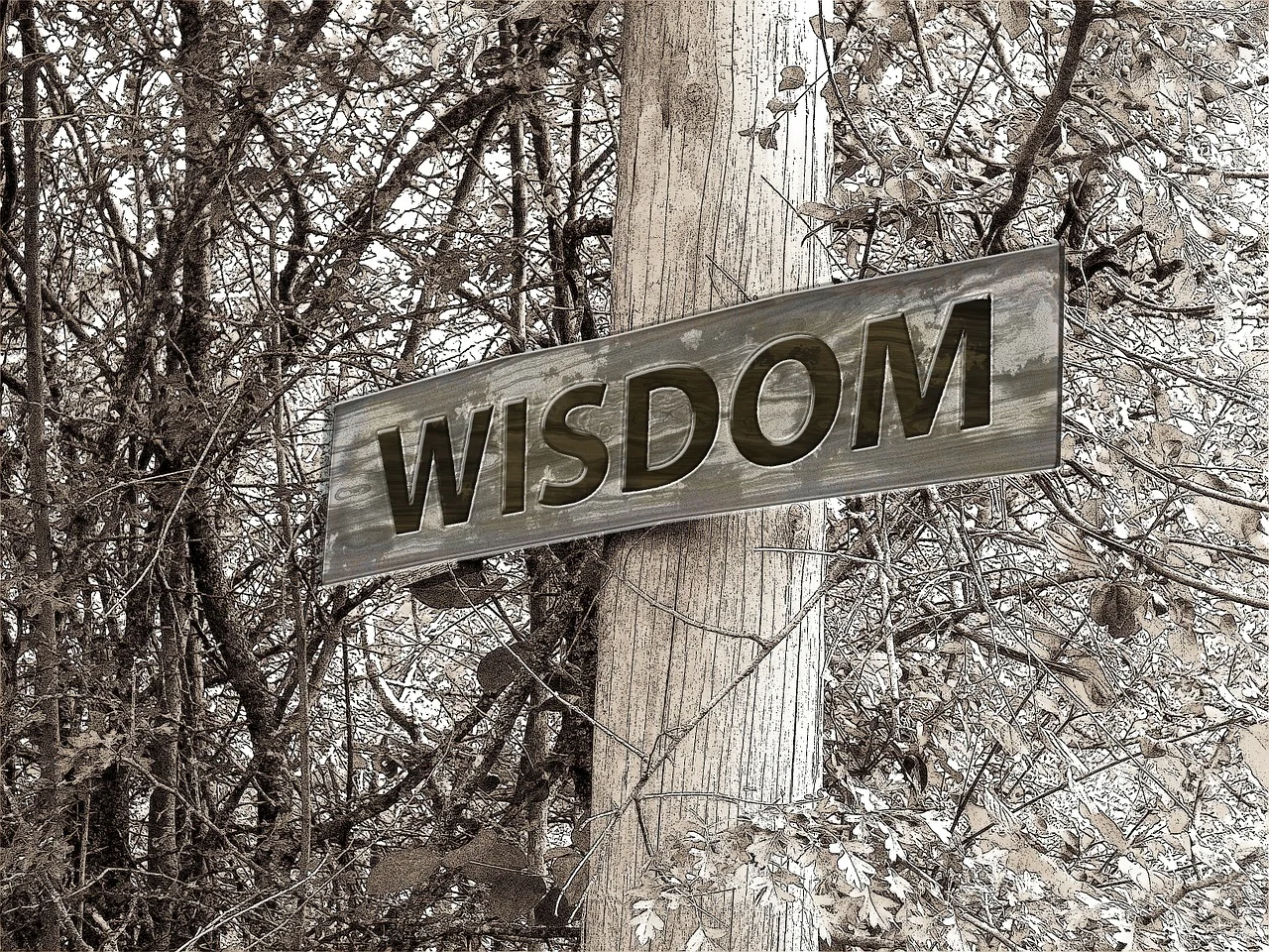 Proverbs:  Wisdom - The Art of Skillful Living