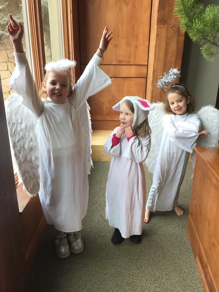 Sheep and Angels.jpg
