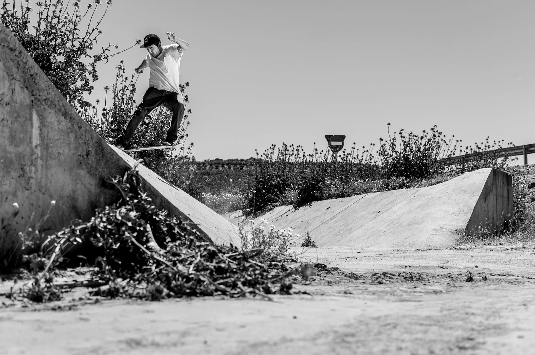 Nomad Skateboards | New Team Manager