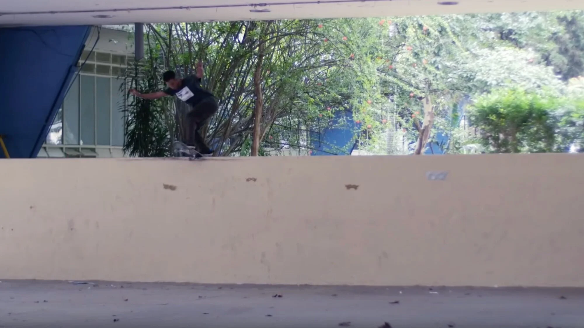 Element Brasil | Ouroboros Video