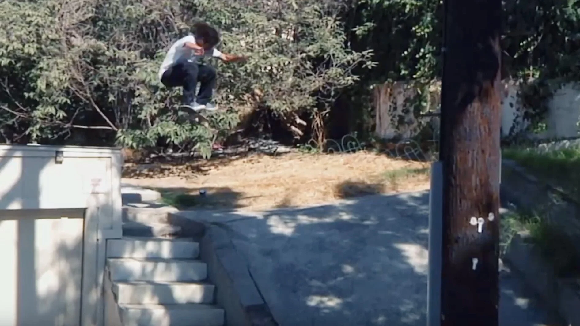 Rowan Zorilla | The Rowan Pro VANS