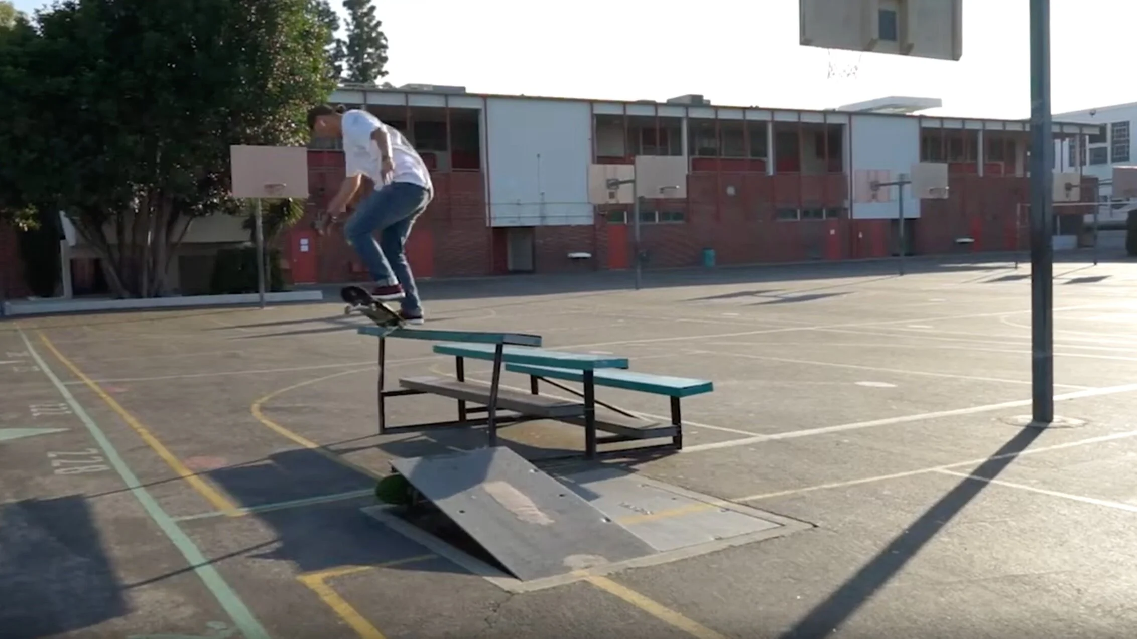 Martin Pek |&nbsp;Bones Bearings