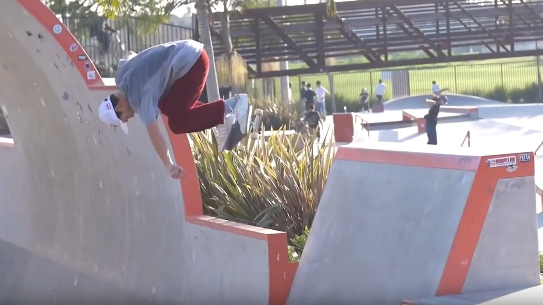 Alex Sorgente | FIELD DAY