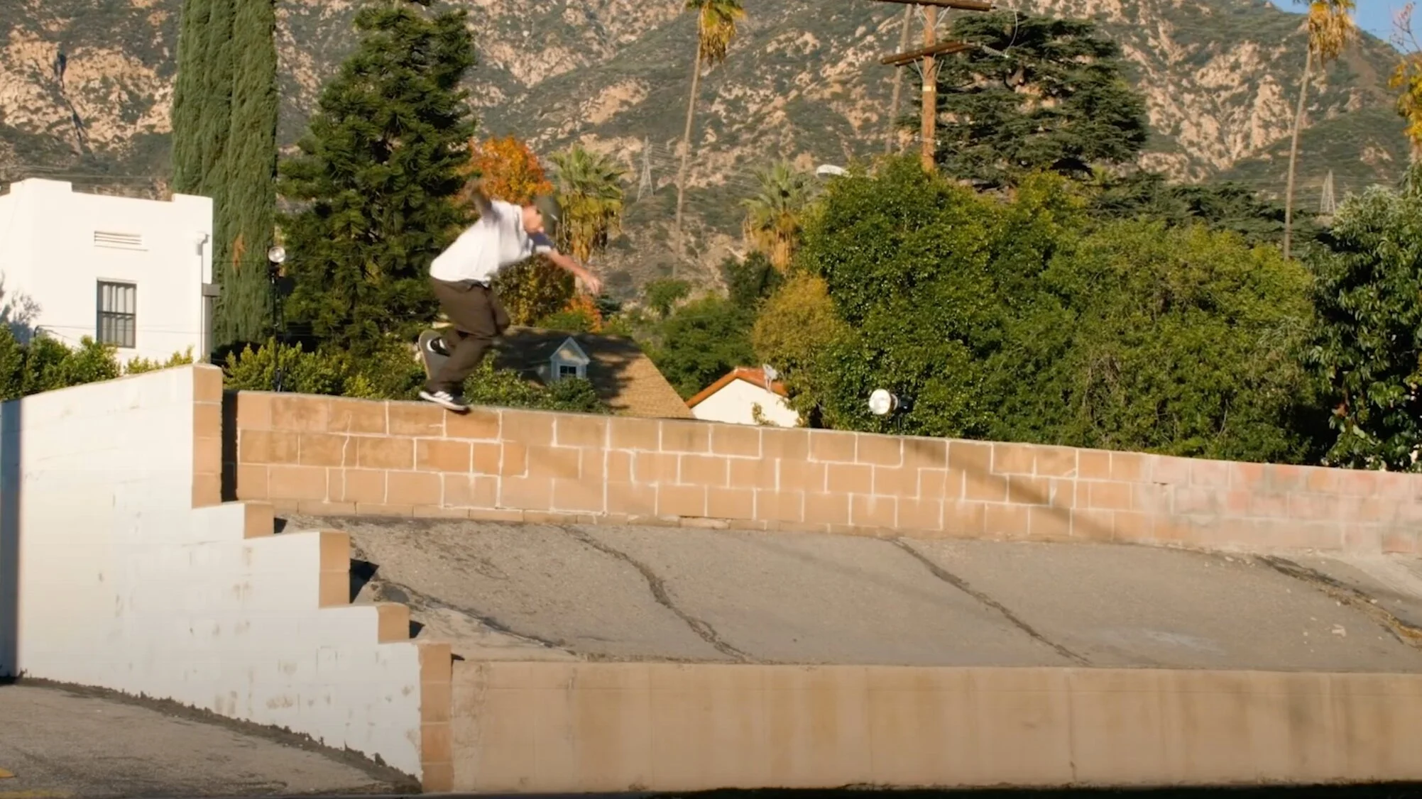 Trent McClung | Primitive Skate