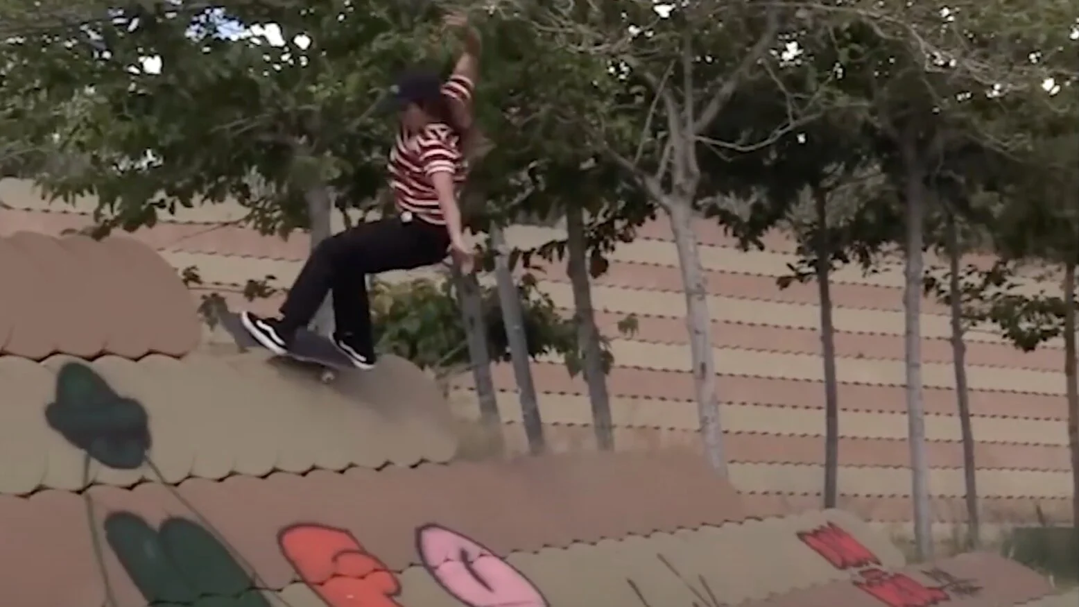 vans skate video