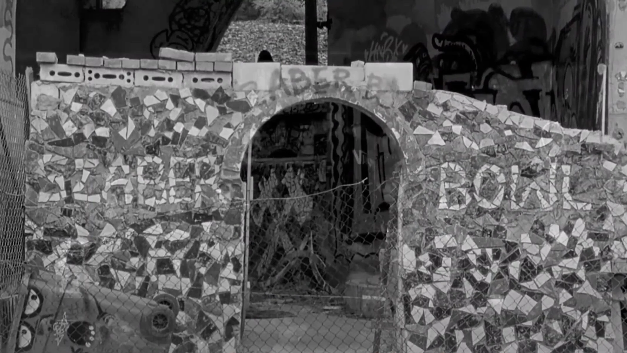 Szaber Bowl - Warsaw  | VANS