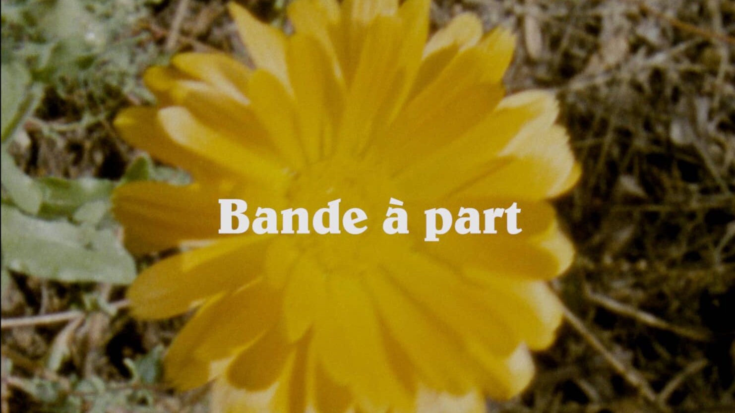 Wasted Talent &amp; Cleptomanicx | Bande à part