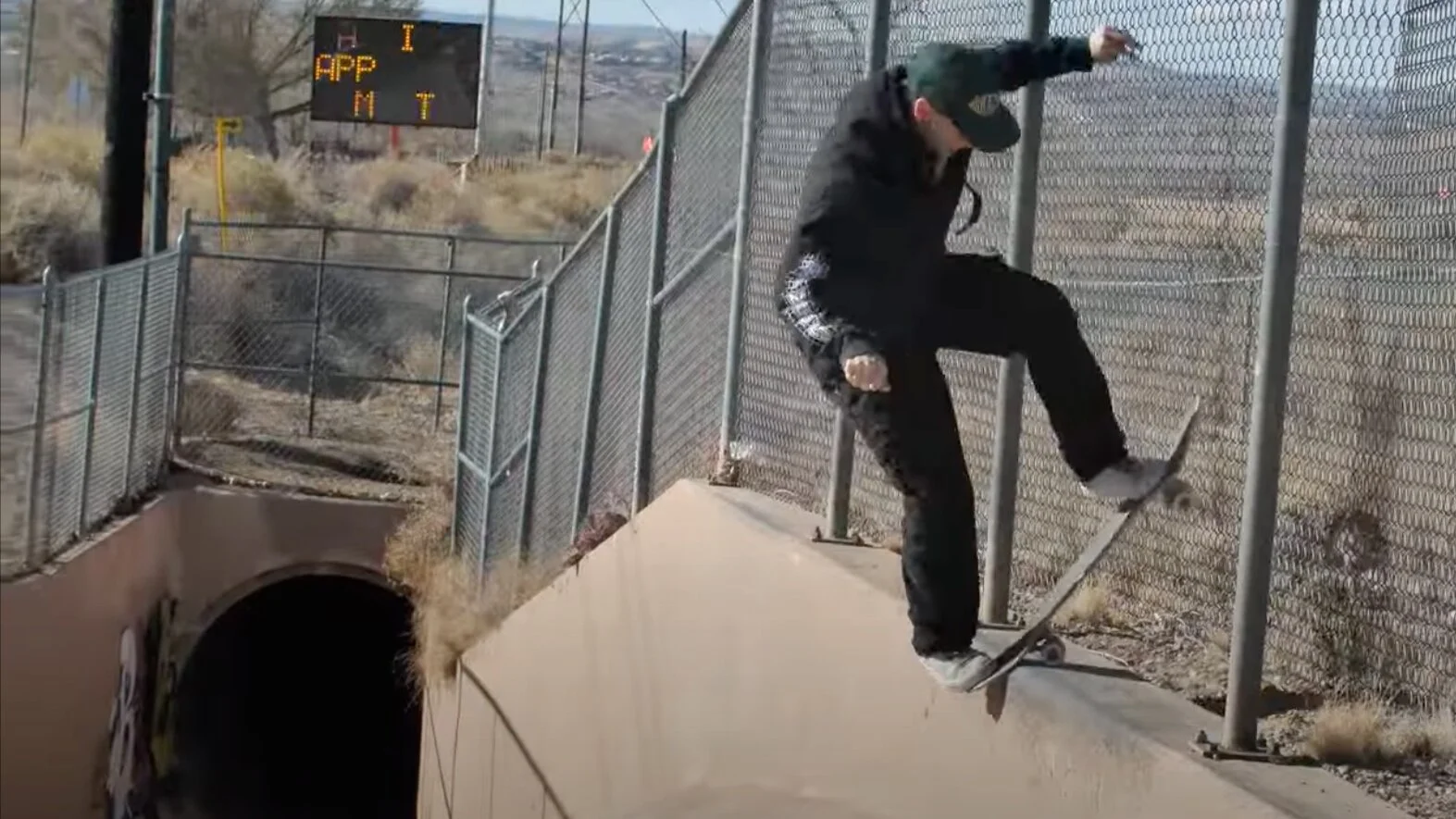 Andale Bearings | Slappy Days Albuquerque New Mexico