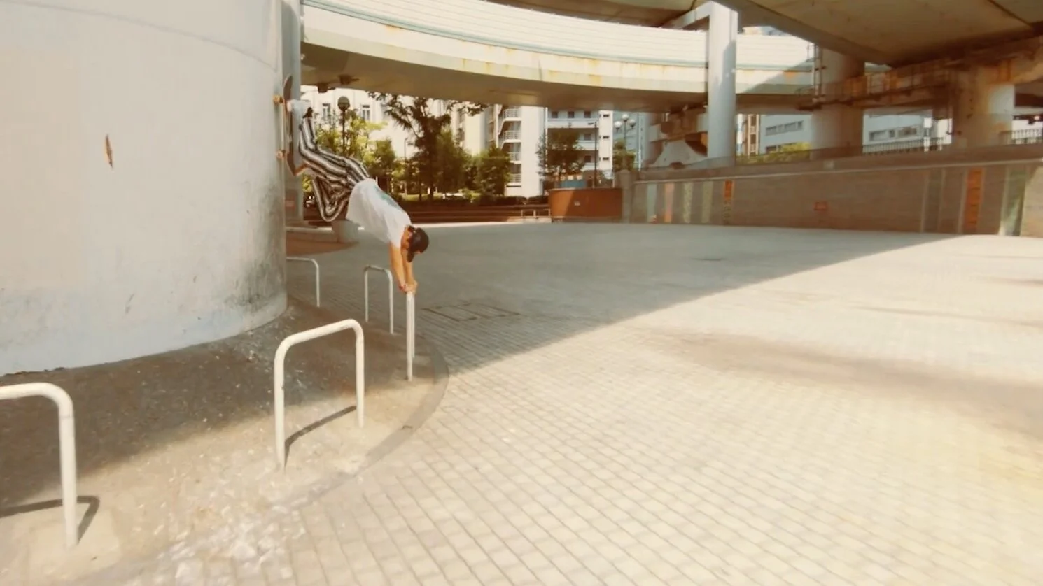 Hayate Kamimura | Herbis part