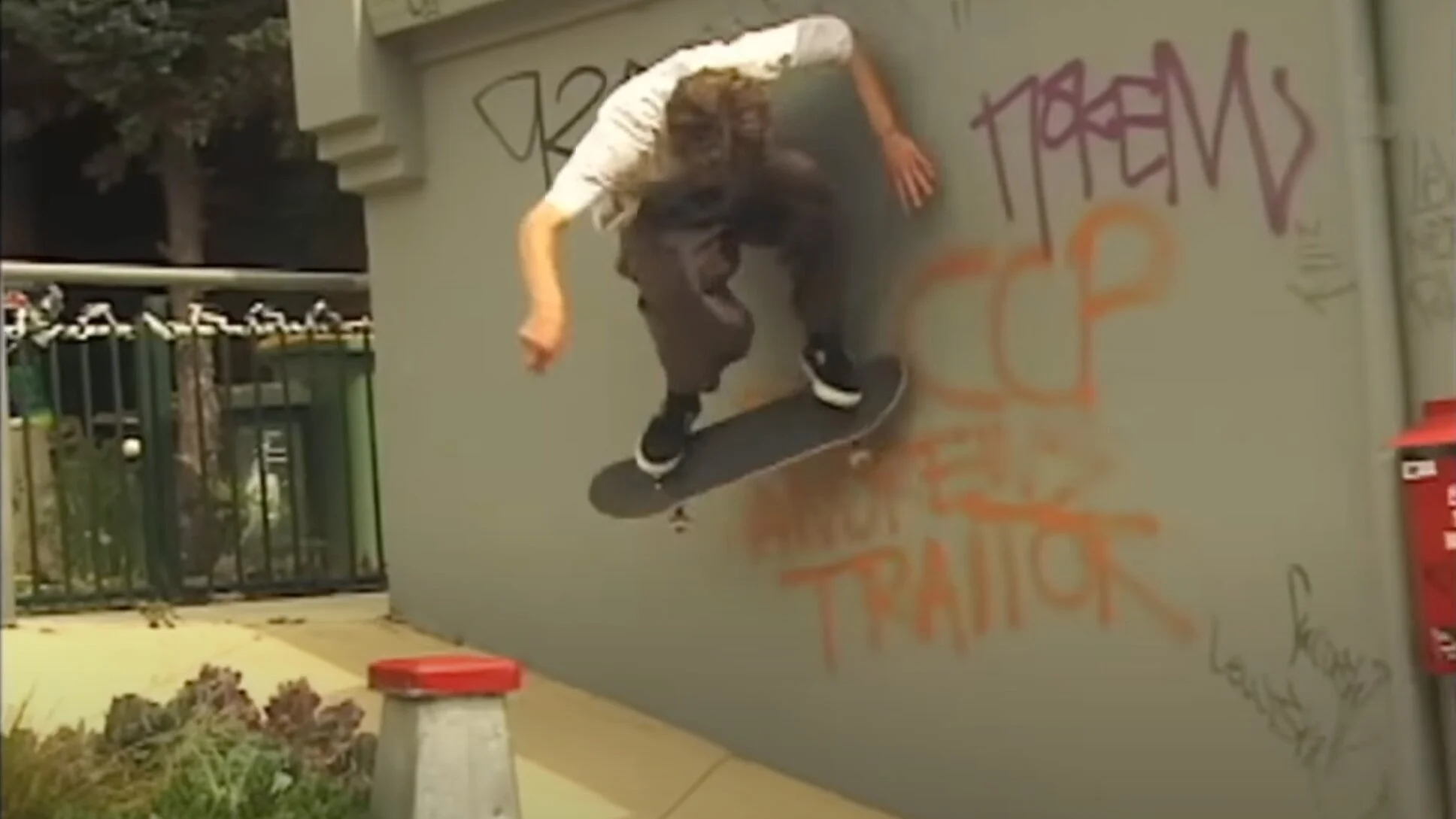 PLANT IN THE DESERT | Magenta Skateboards