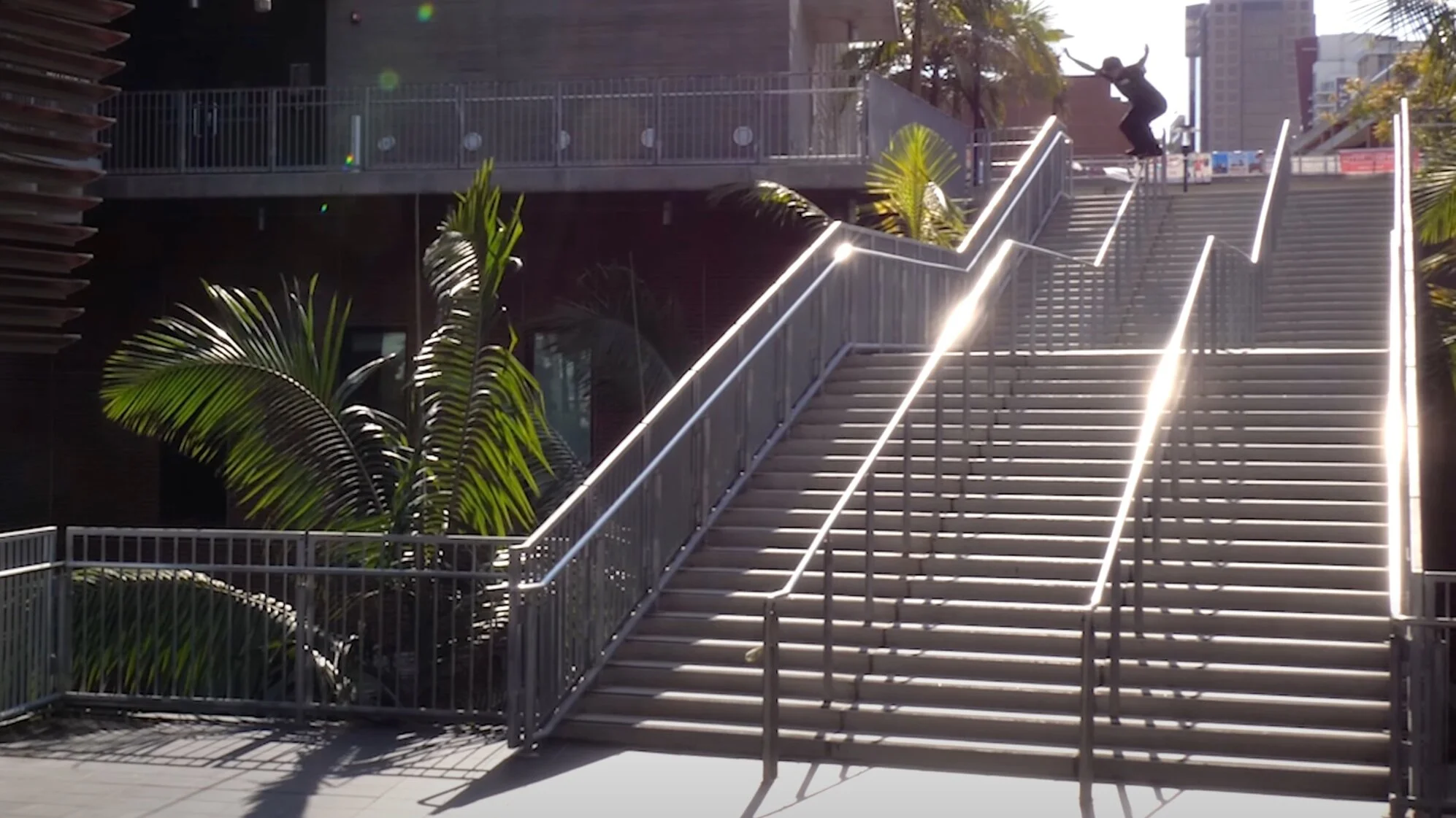 ALEX WILLMS | WELCOME TO SK8MAFIA