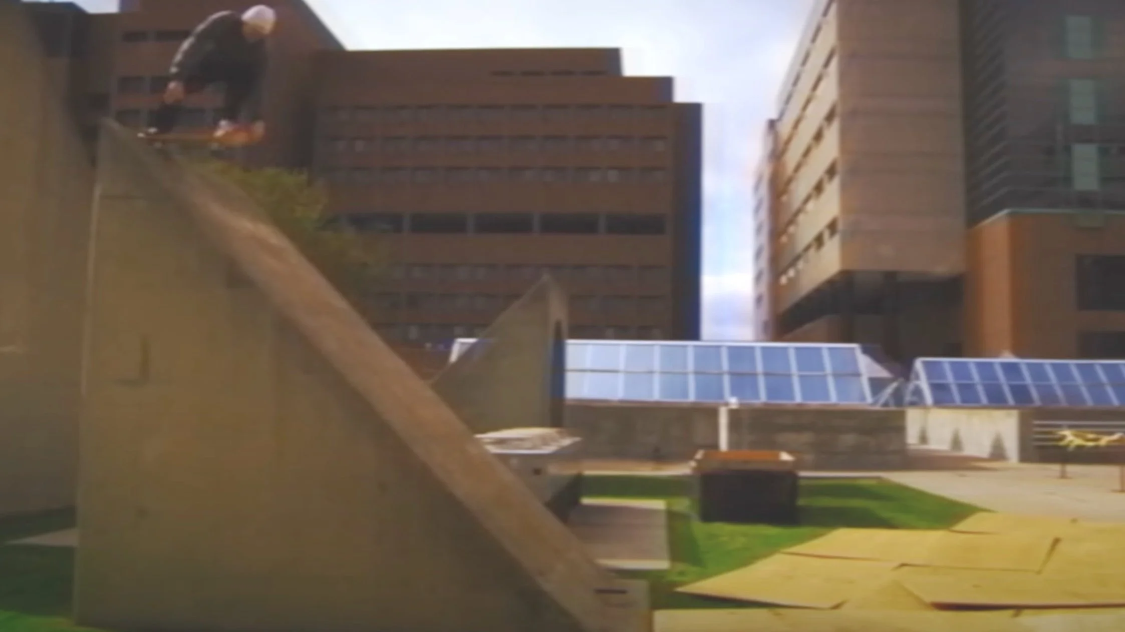 Hayden Burns | Ancient Bear Penis- Frog Skateboards