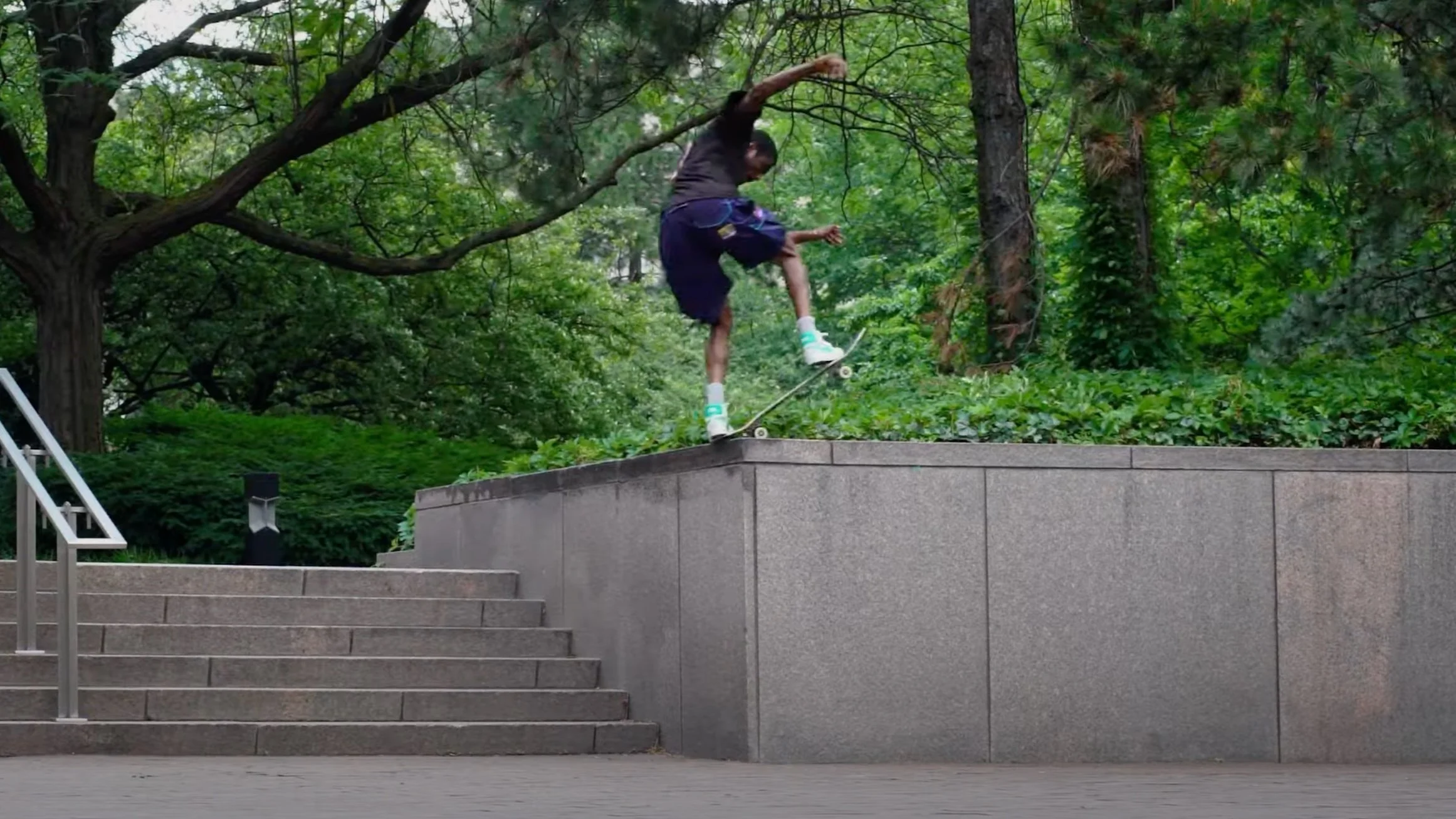 Habitat Skateboards | CHRYSALIS