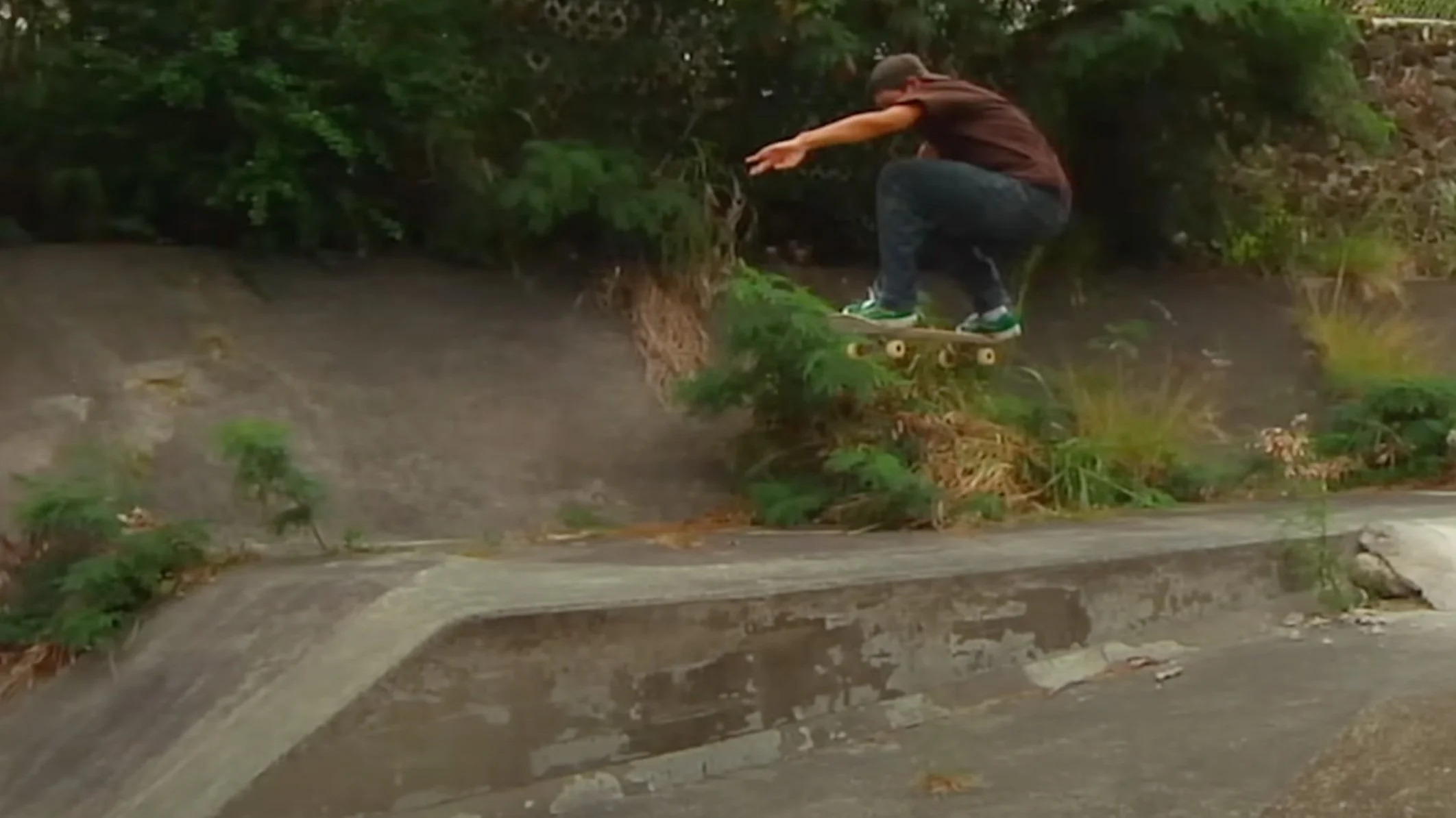 Vans Skateboarding X Frog