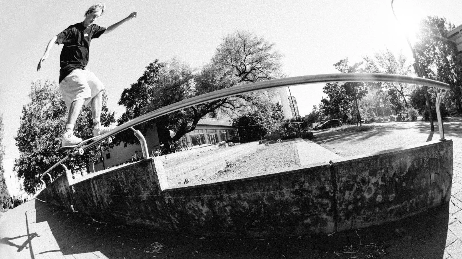 ANTIX | PASTORAL DREAM